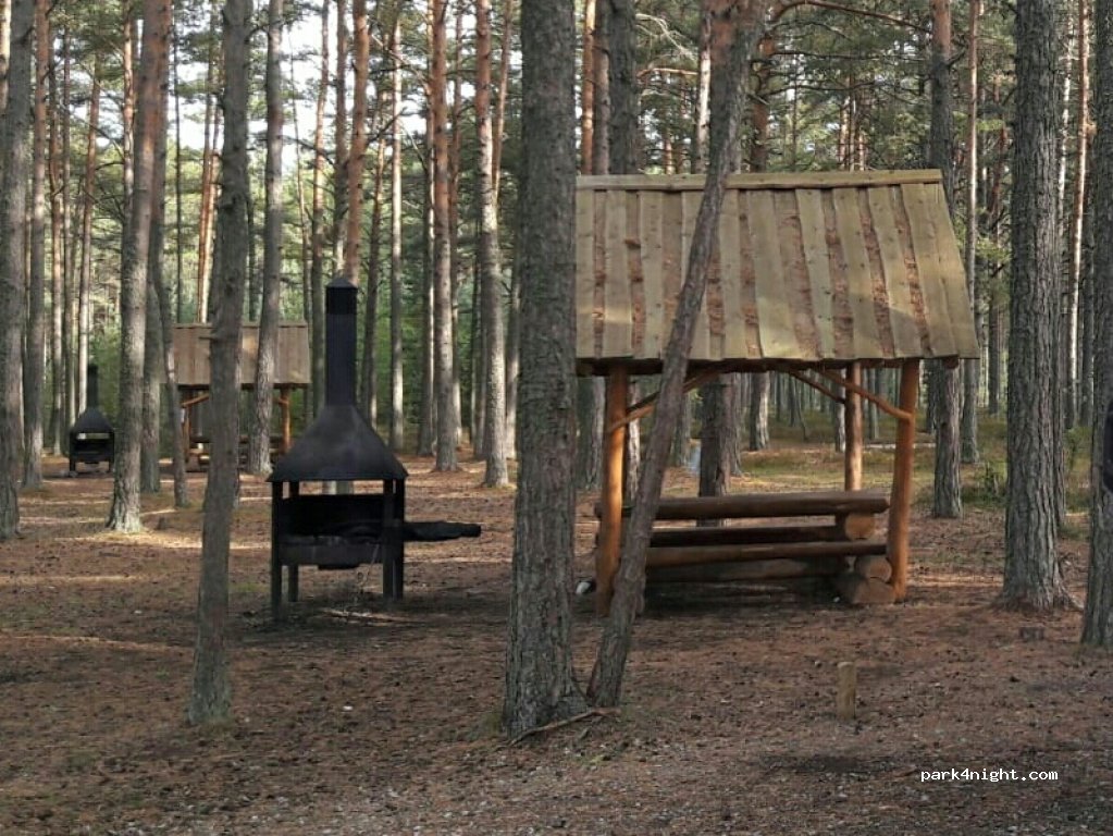 (74211) Kaberneeme - Metsaveeru tee — foto 2