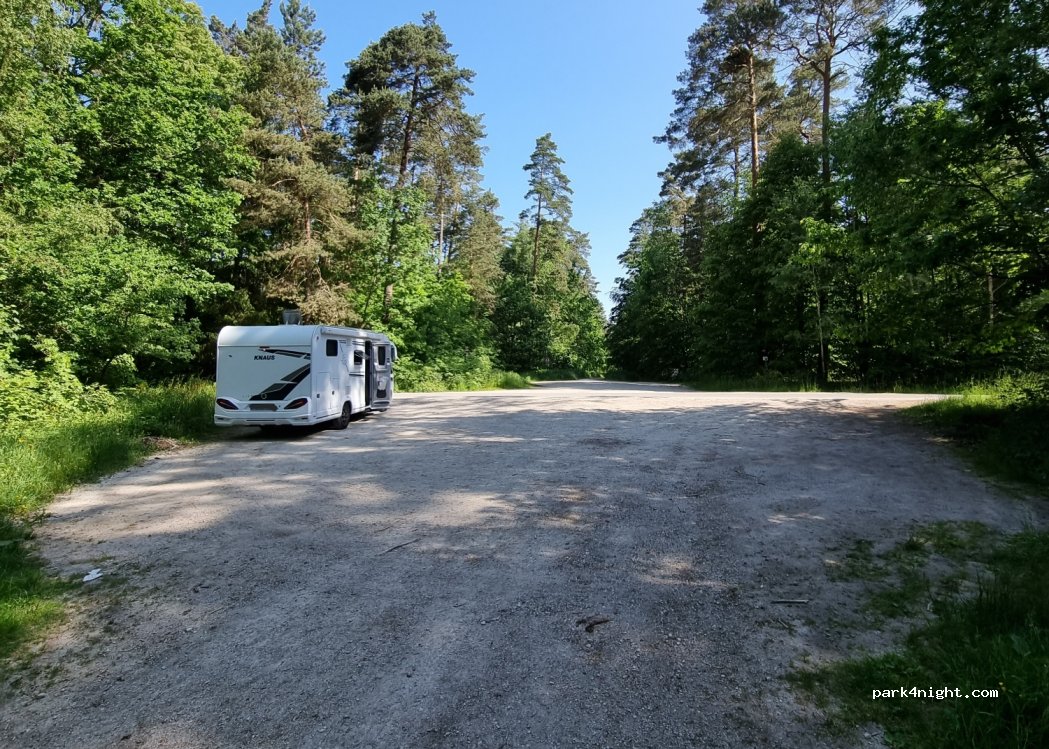 (90562) Günthersbühler Forst - Mühlweg — foto 3