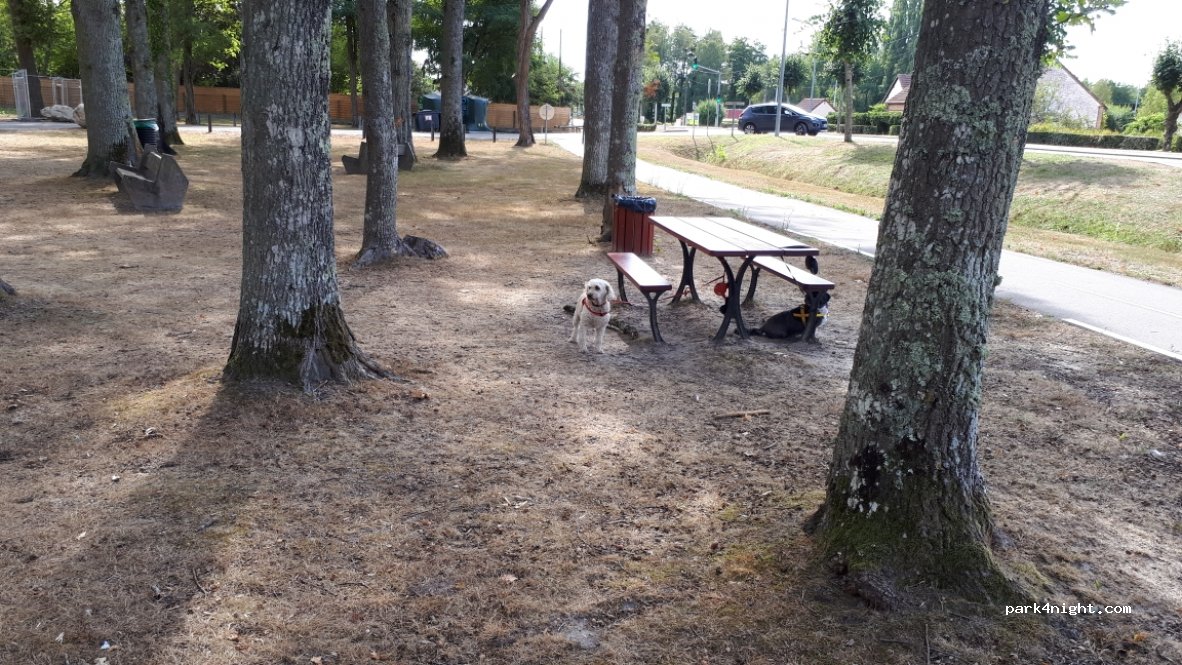 (41600) Lamotte-Beuvron - 36 Avenue d'Orléans — foto 3
