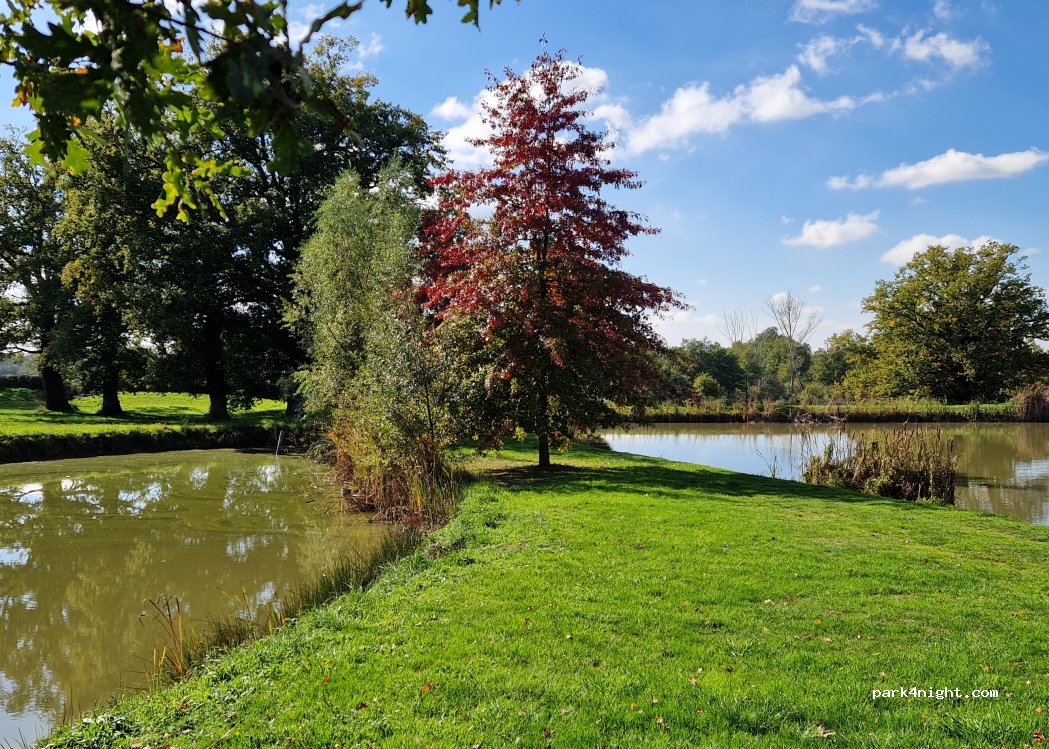(03320) Limoise - Le Bourg — foto 5