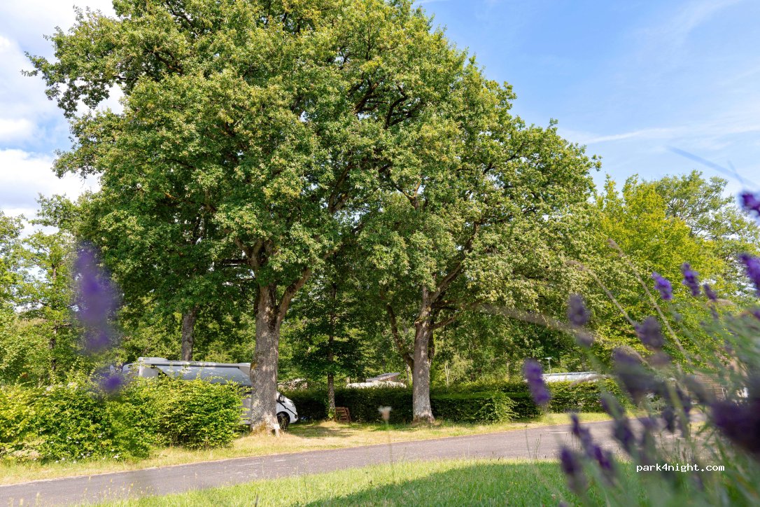 Camping Onlycamp - La Varenne — foto 3