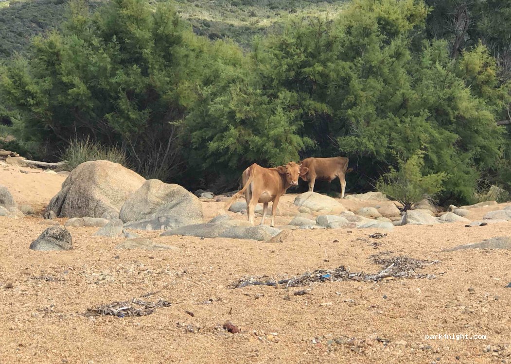 Camping Les Roseaux — foto