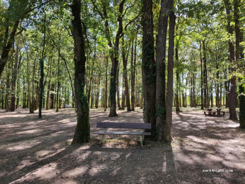 (86370) Vivonne - N10 — foto 2