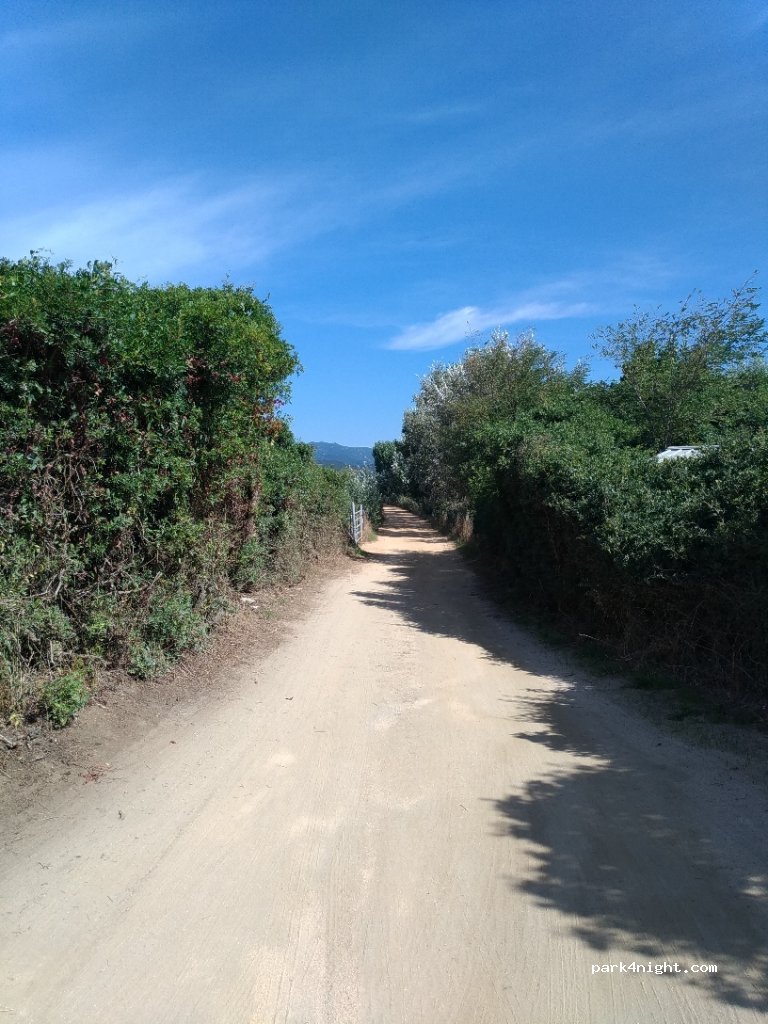 (20140) Serra-di-Ferro - Route de Porto Pollo — foto 2