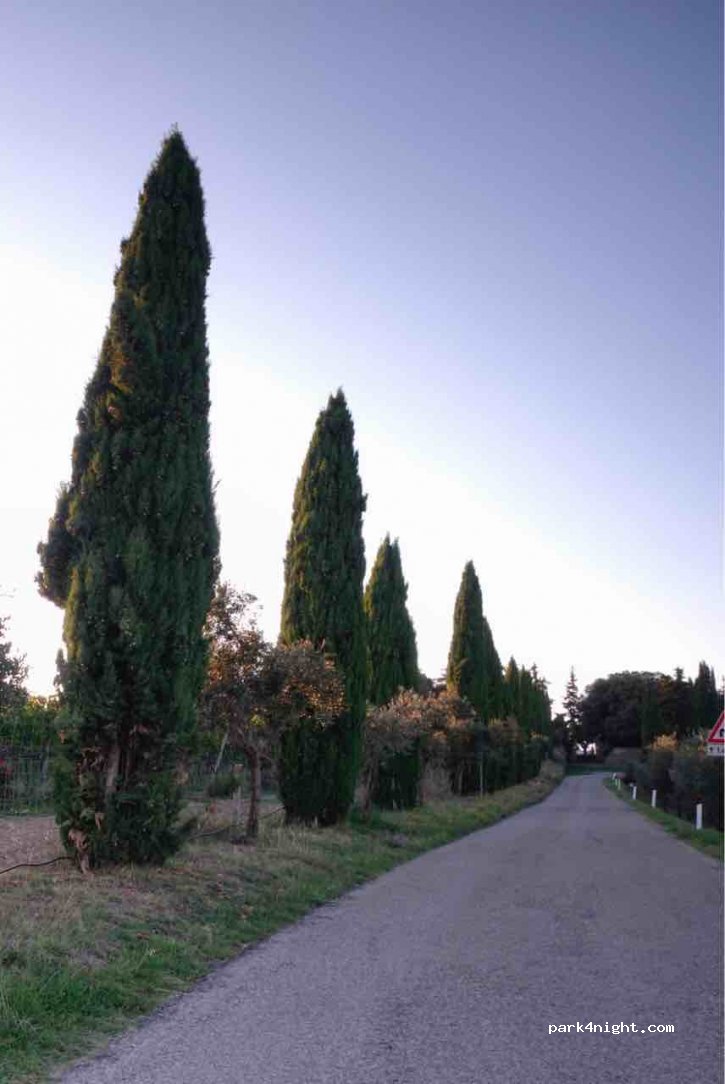 (53017) Castelvecchi - Traversa del Chianti — foto 2