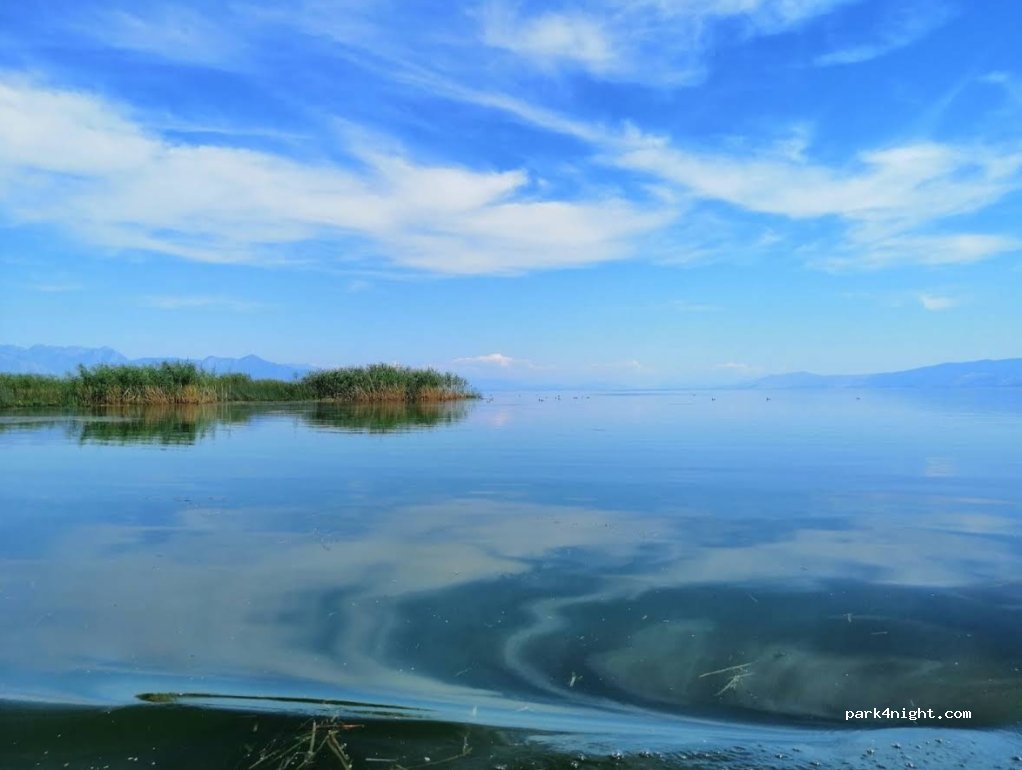 Plavnica Camping Resort Marković — foto 4
