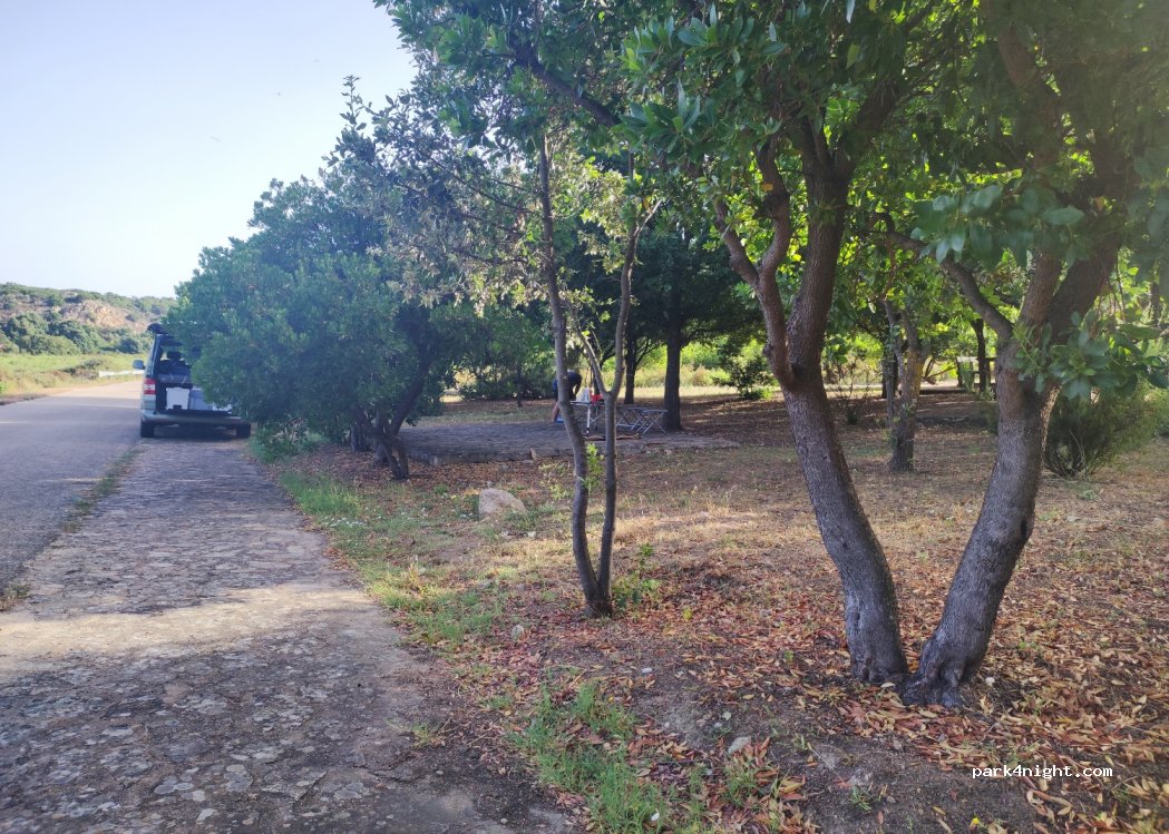 (07020) Padru  - Sorgente Sos Pantamos — foto 2