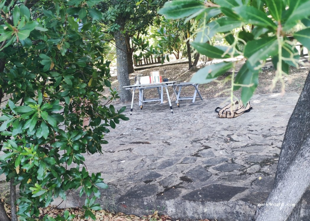 (07020) Padru  - Sorgente Sos Pantamos — foto 3