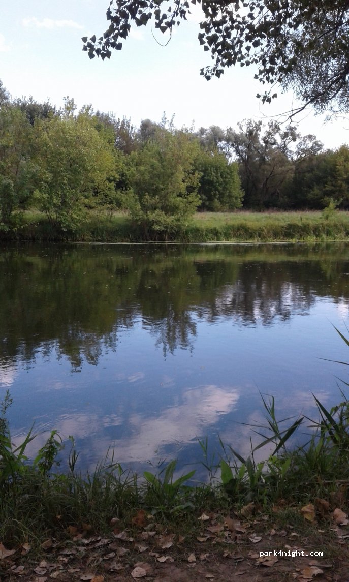 Parc national "Forêts Gomolshansky" — foto 3