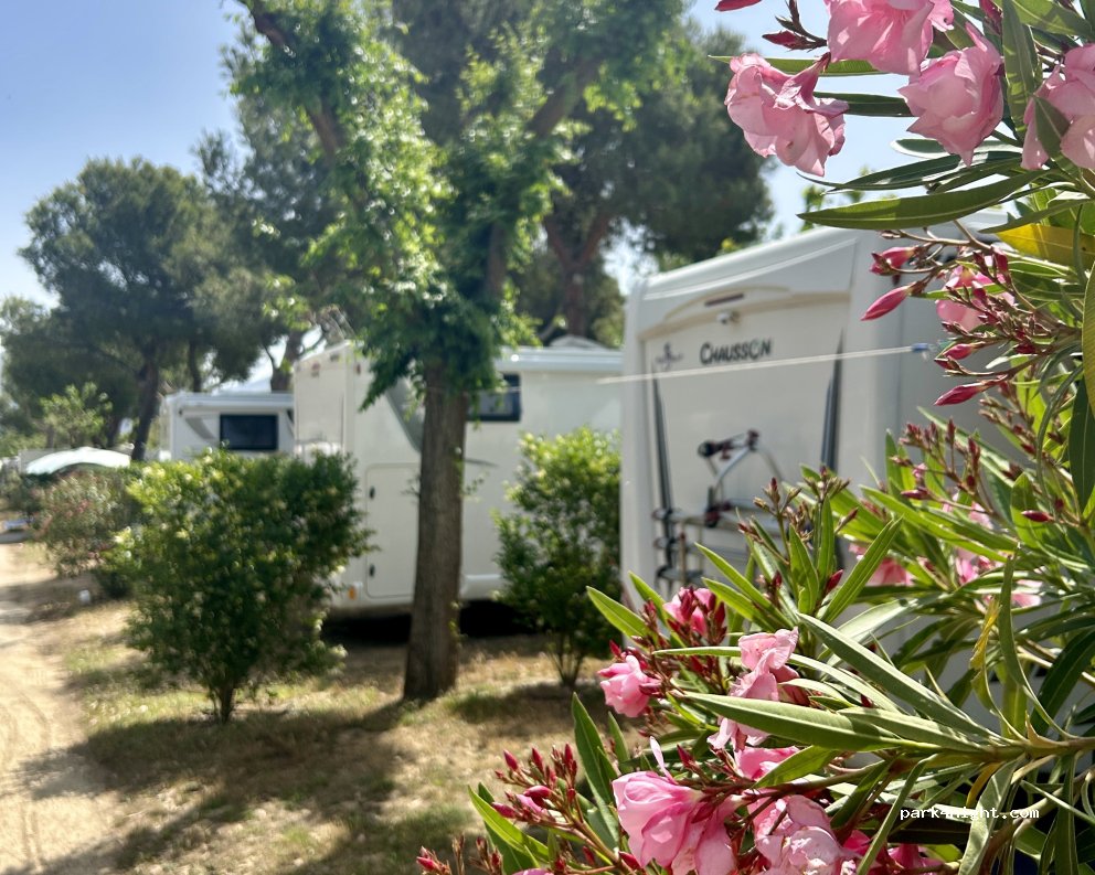 Camping Rodas — foto 3
