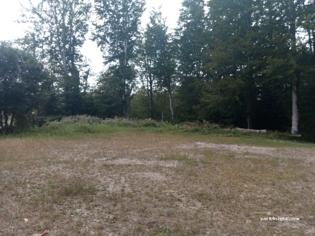 (11310) Lacombe - D203 — foto