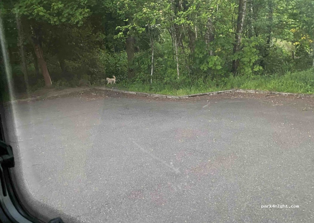 (FK14 7BE) Dollar - 20 Castle Road — foto 2