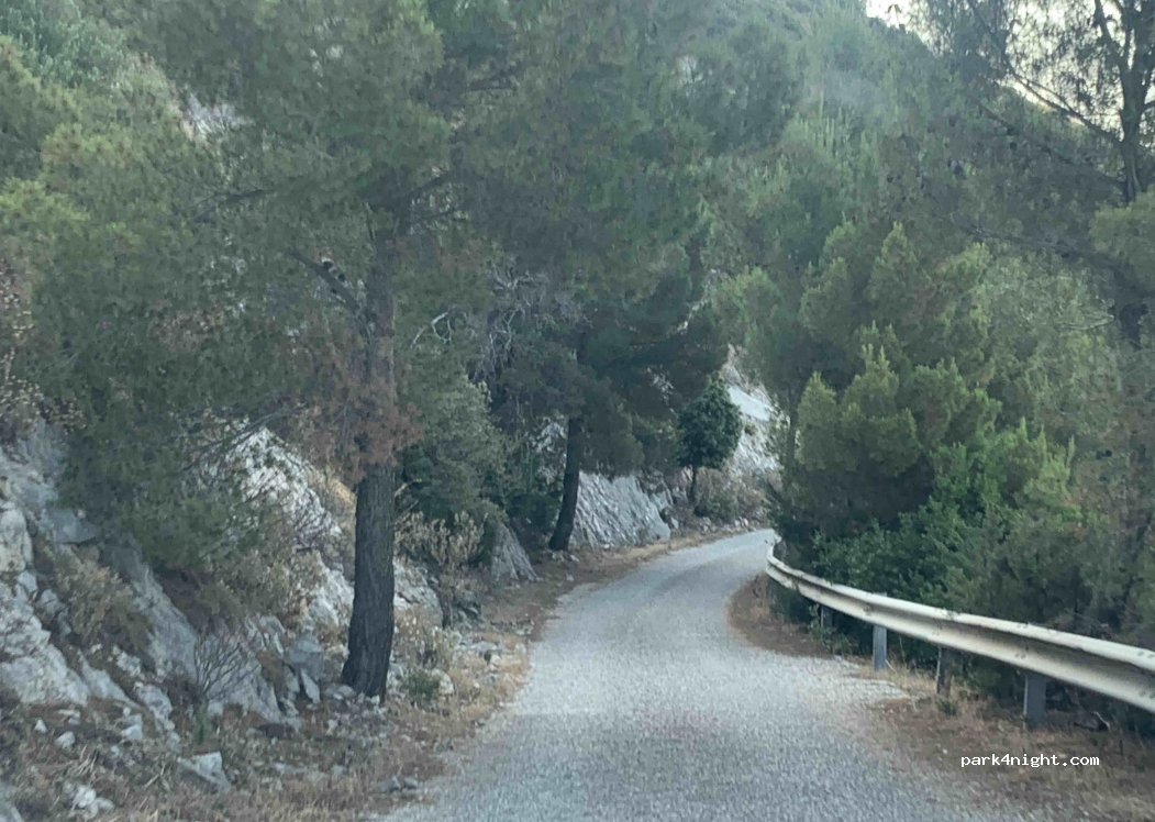 (08020) Galtellì - Unnamed Road — foto 5