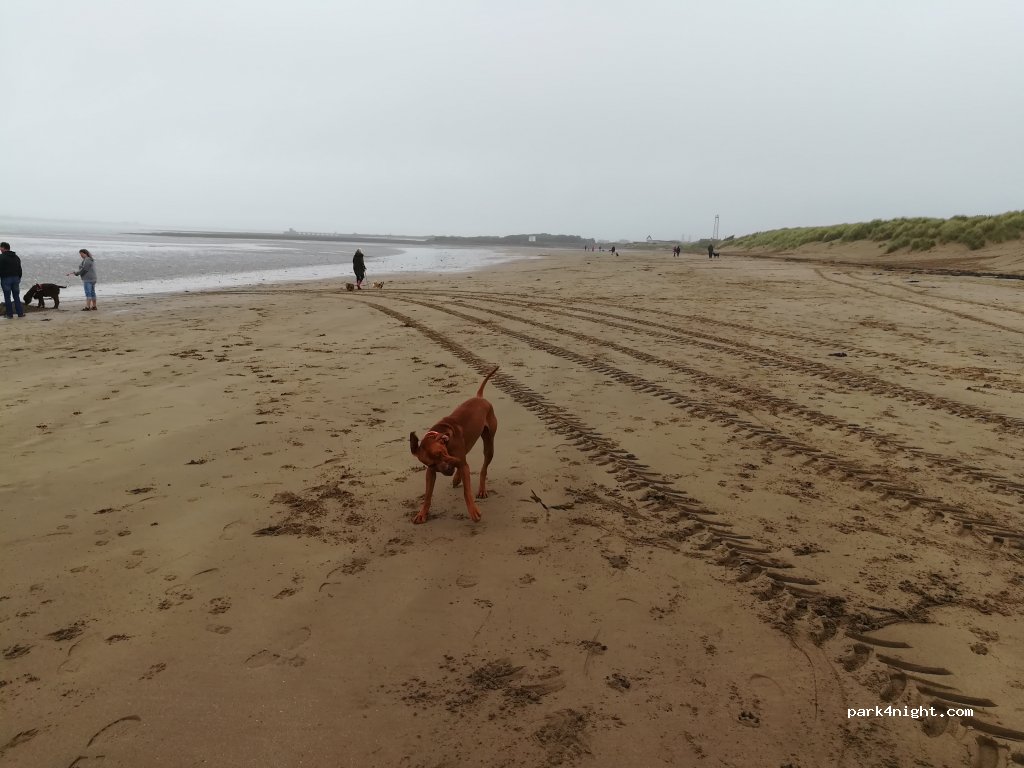 (EX39 4LE) Instow - Marine Prade — foto