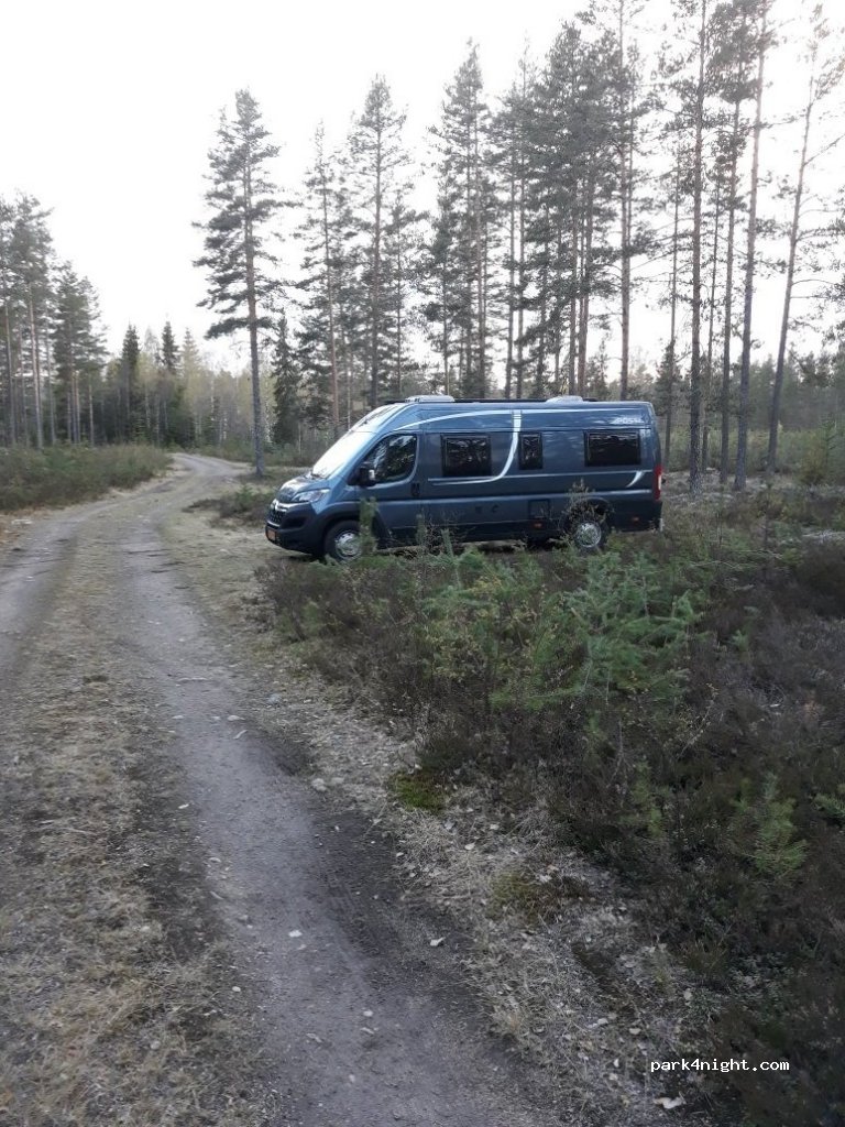 (2411)  - 4 Sekundær Fylkesveg 166 — foto 2