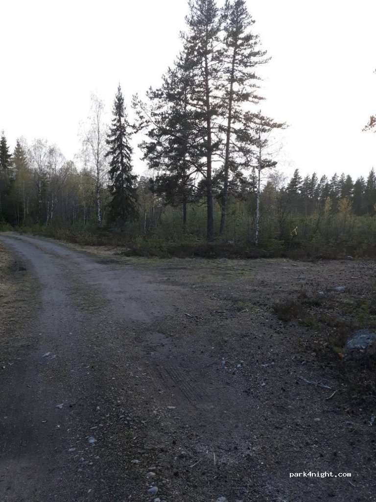 (2411)  - 4 Sekundær Fylkesveg 166 — foto 3