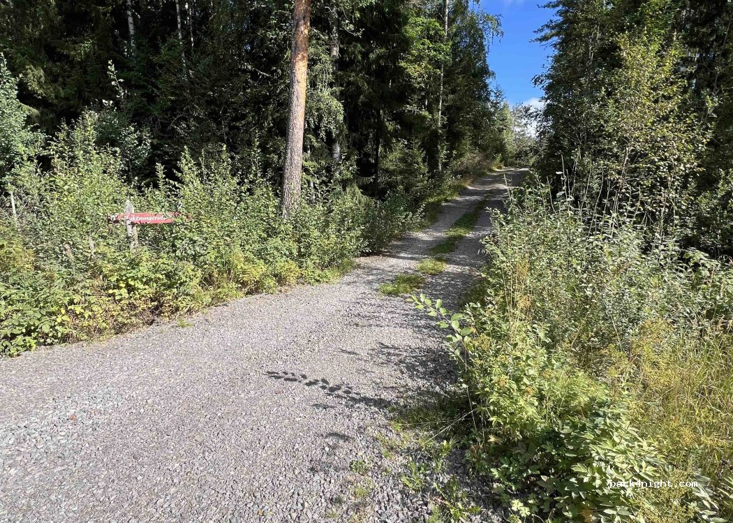 (2411)  - 4 Sekundær Fylkesveg 166 — foto 5