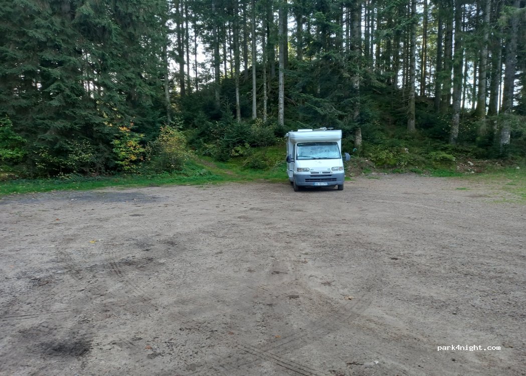 (88400) Gérardmer - 62 Chemin de Sapois — foto 4