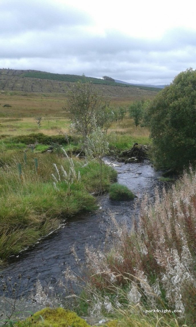 (DG8 6TB)  - Unnamed Road — foto 3