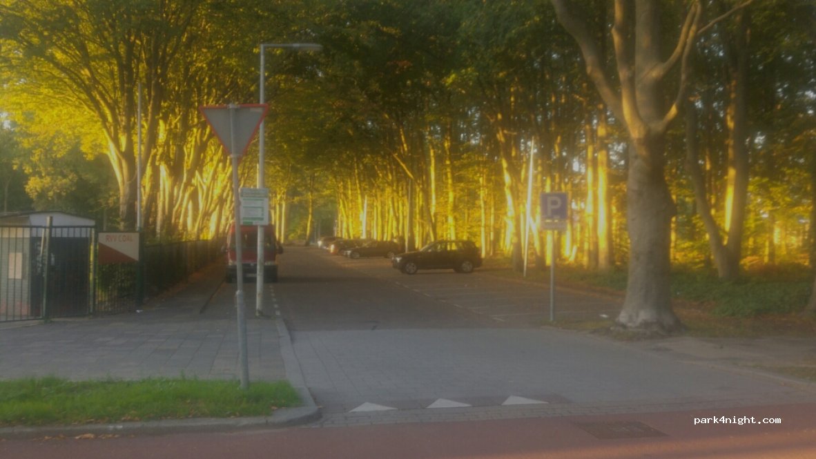 (3085 NJ) Rotterdam - 1 Arkestein — foto