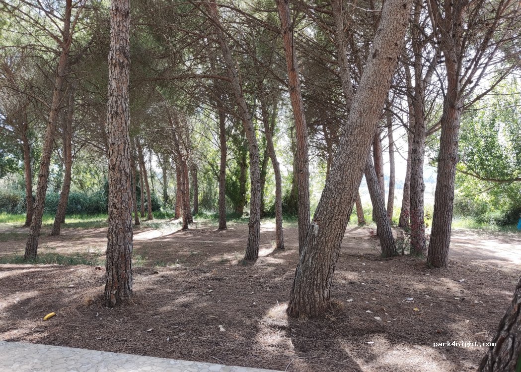 (46625) Cofrentes - Unnamed Road — foto 5