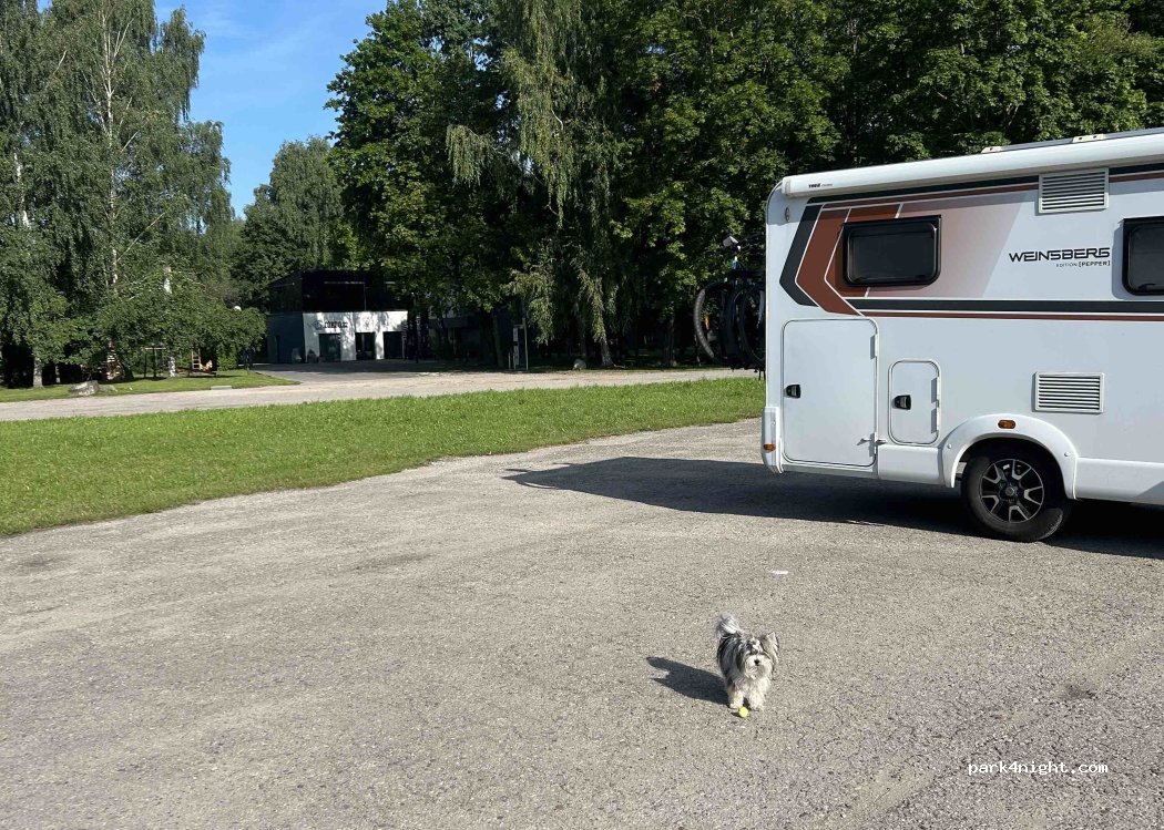 (38416) Tičkūnai - Slyvų gatvė — foto 5