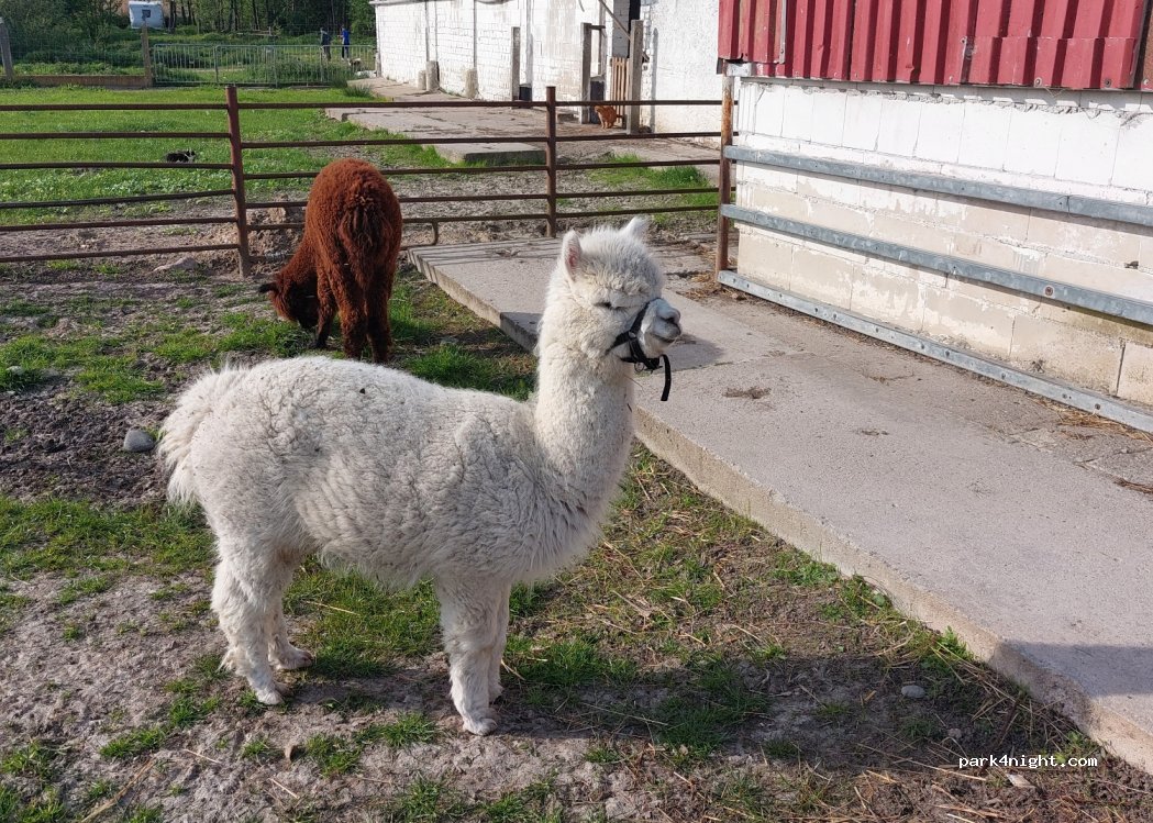 Sabine's farm — foto 4