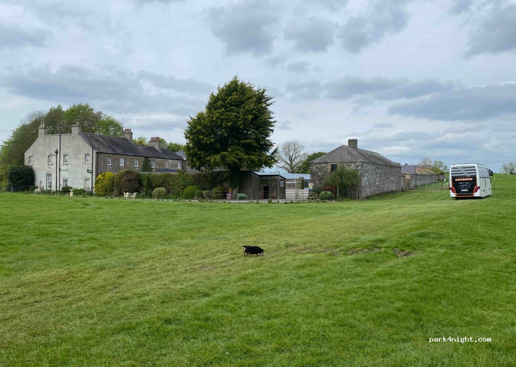 Teltown House B&B — foto 3