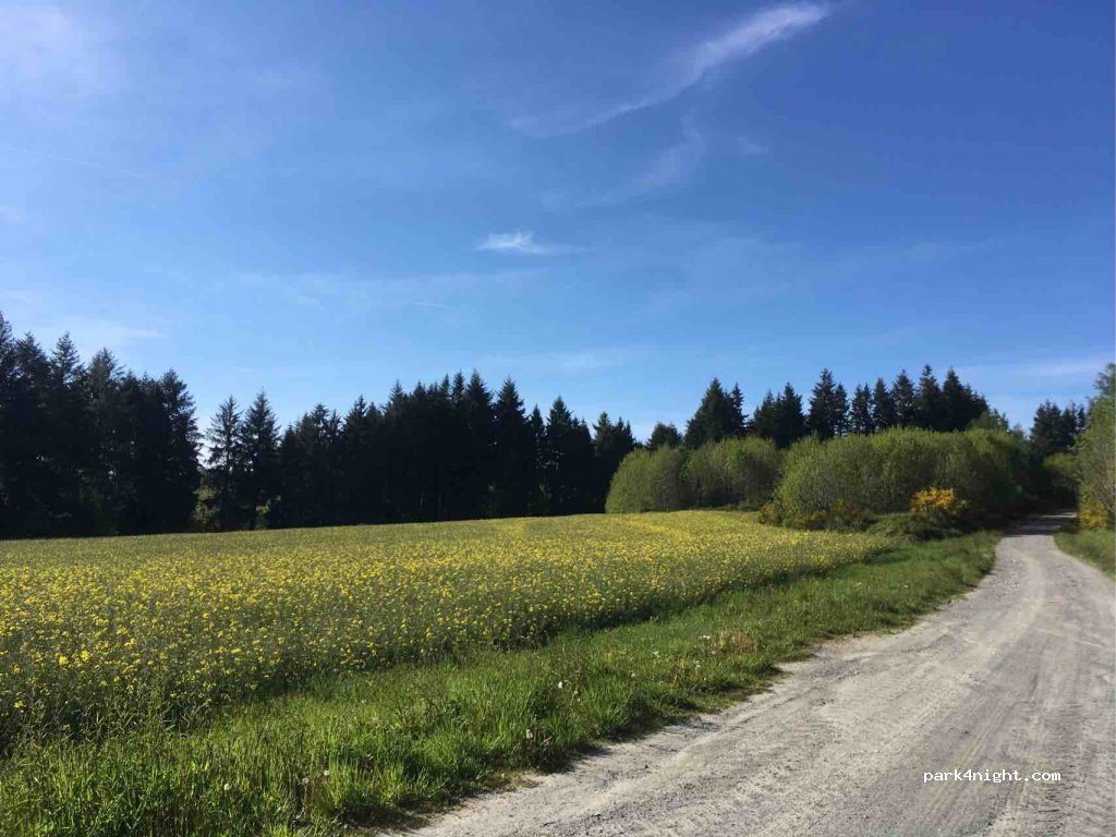 (87230) La Chapelle-Montbrandeix - Unnamed Road — foto 2