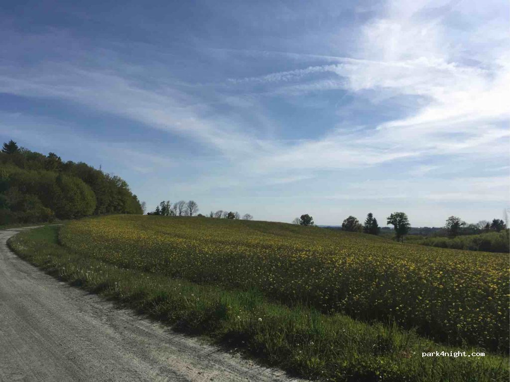 (87230) La Chapelle-Montbrandeix - Unnamed Road — foto 3