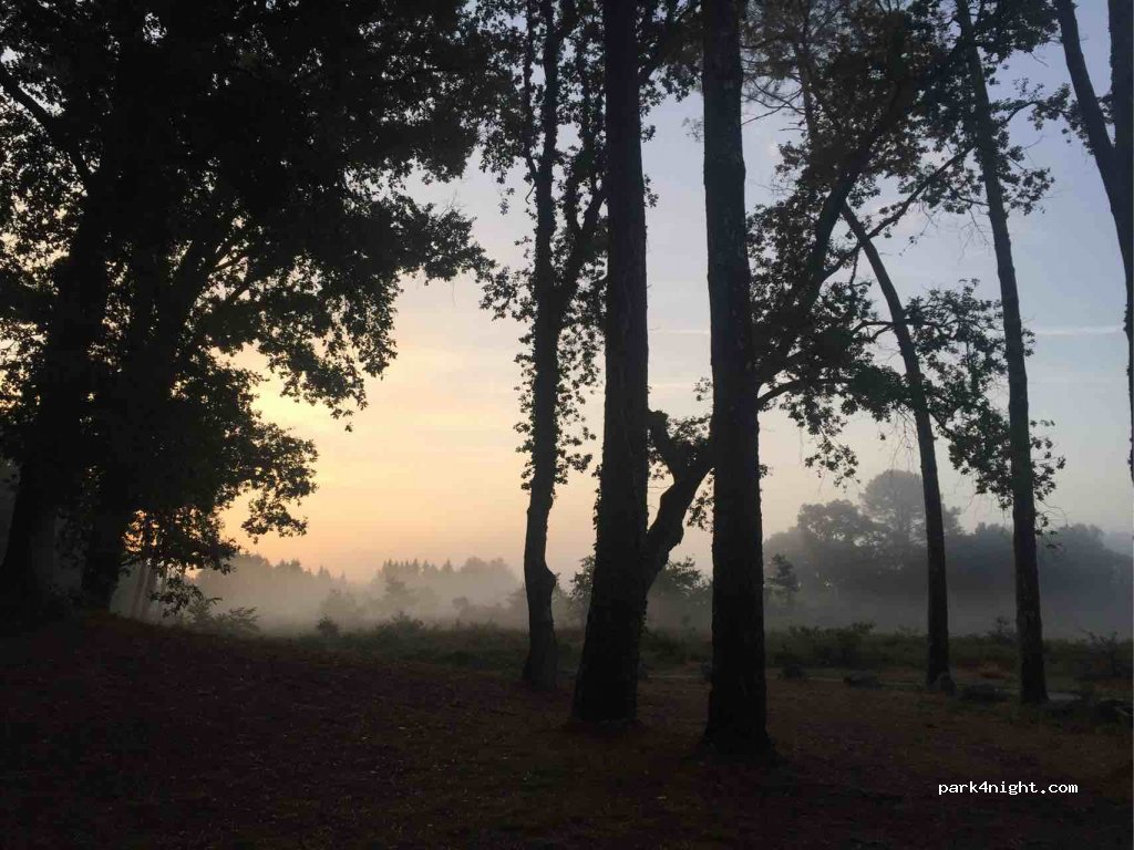(40170) Saint-Julien-en-Born - Route de Contis — foto