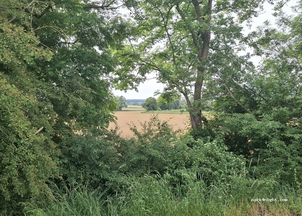 (58000) Sermoise-sur-Loire - 22 Rue du Frondot — foto 5