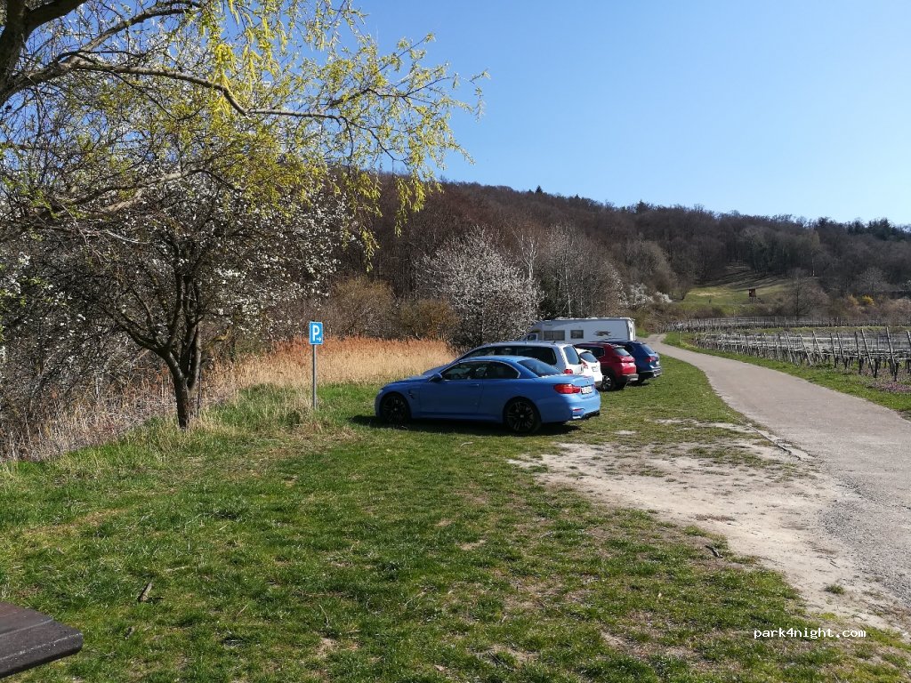 (79235) Vogtsburg im Kaiserstuhl - Rebweg — foto