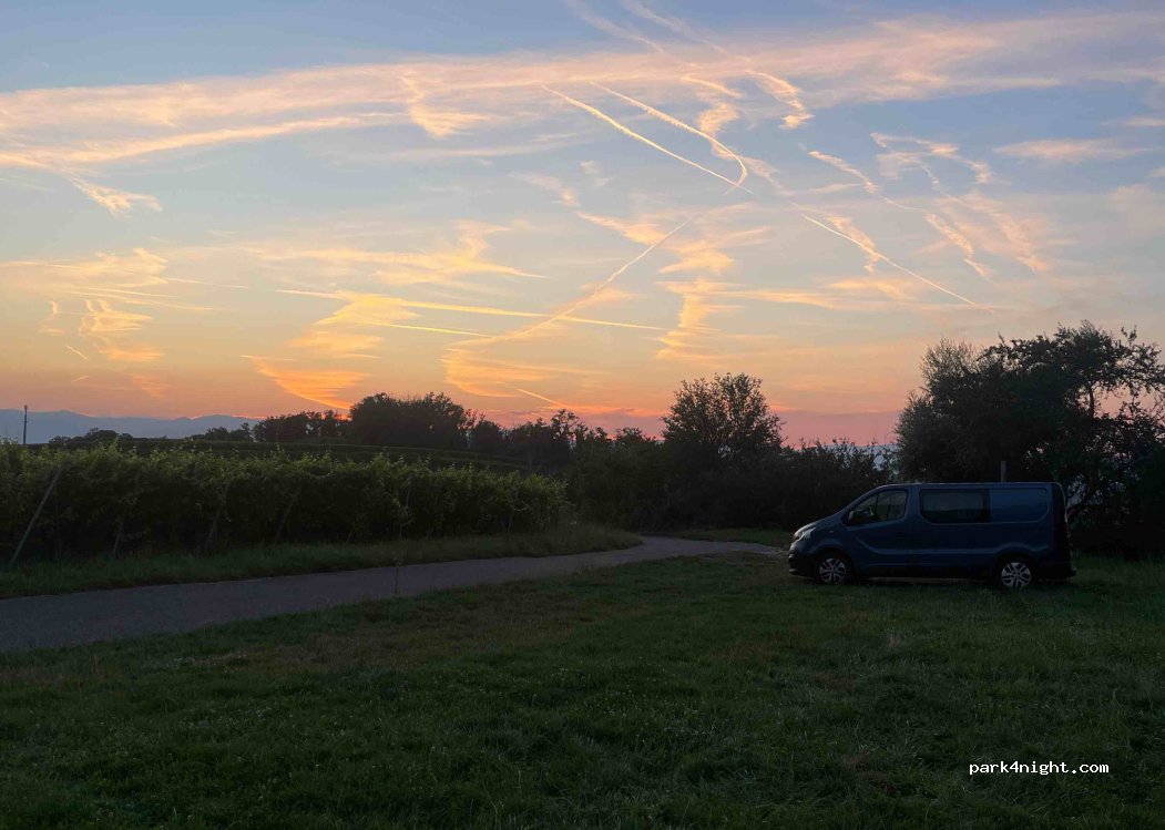 (79235) Vogtsburg im Kaiserstuhl - Rebweg — foto 3