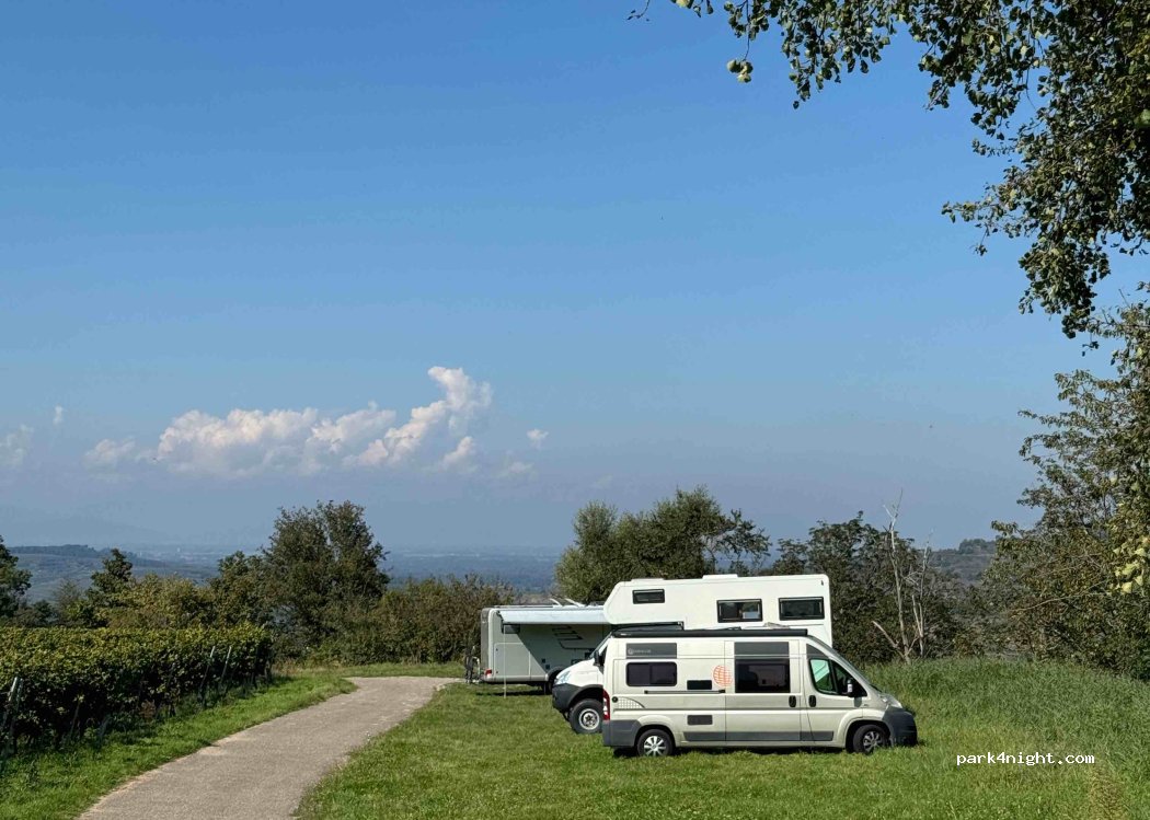 (79235) Vogtsburg im Kaiserstuhl - Rebweg — foto 4