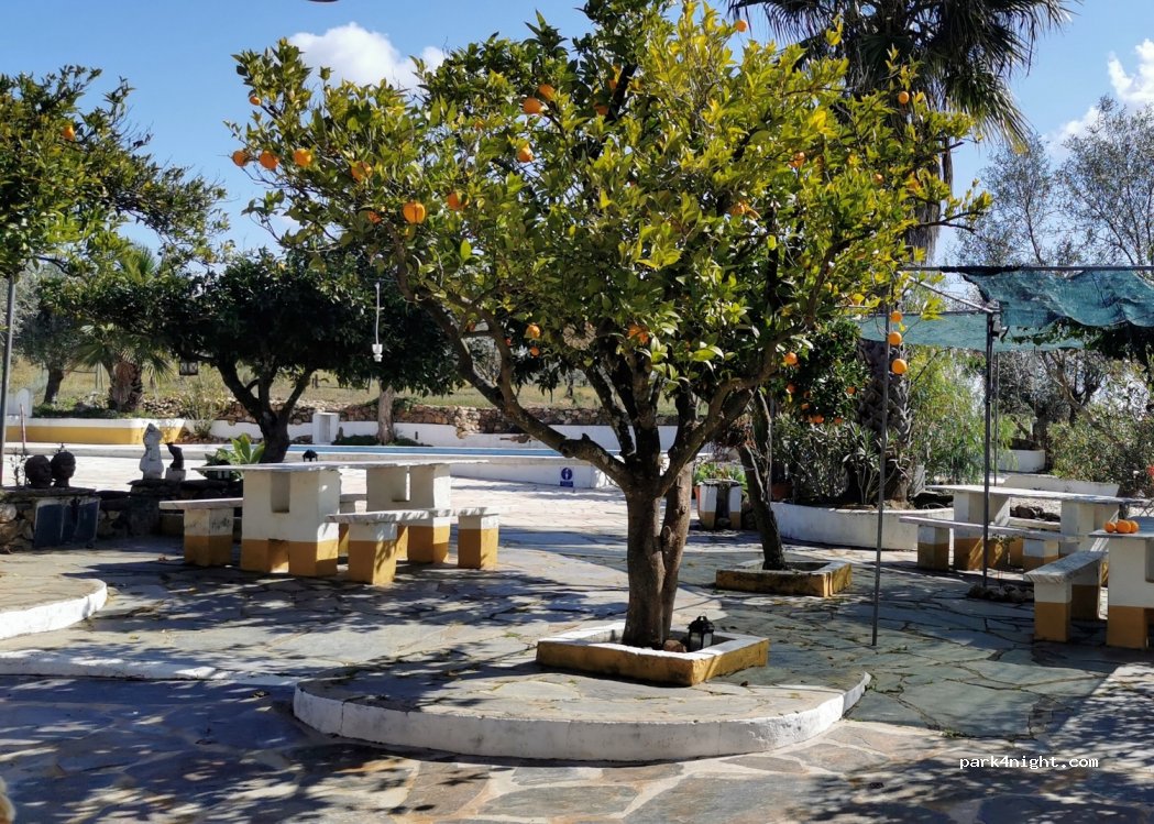 Camping Rosario(16+) — foto 2