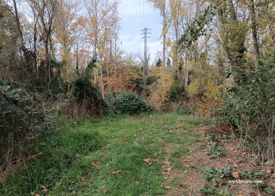 (17482) San Julián de Ramis - Autopista del Mediterráneo — foto