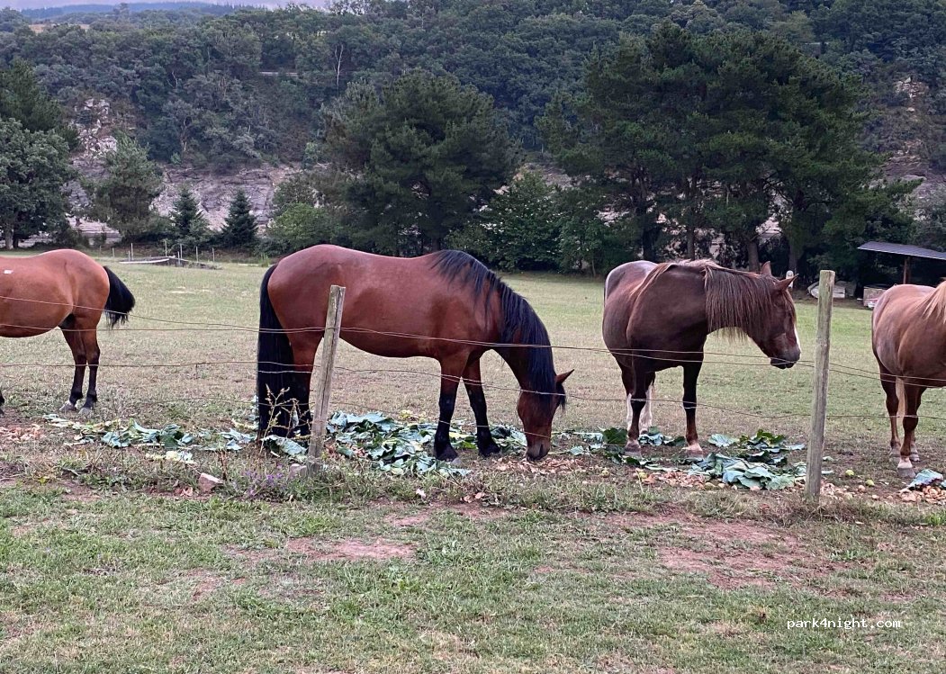 Casa Rural Santa Mariña — foto 2