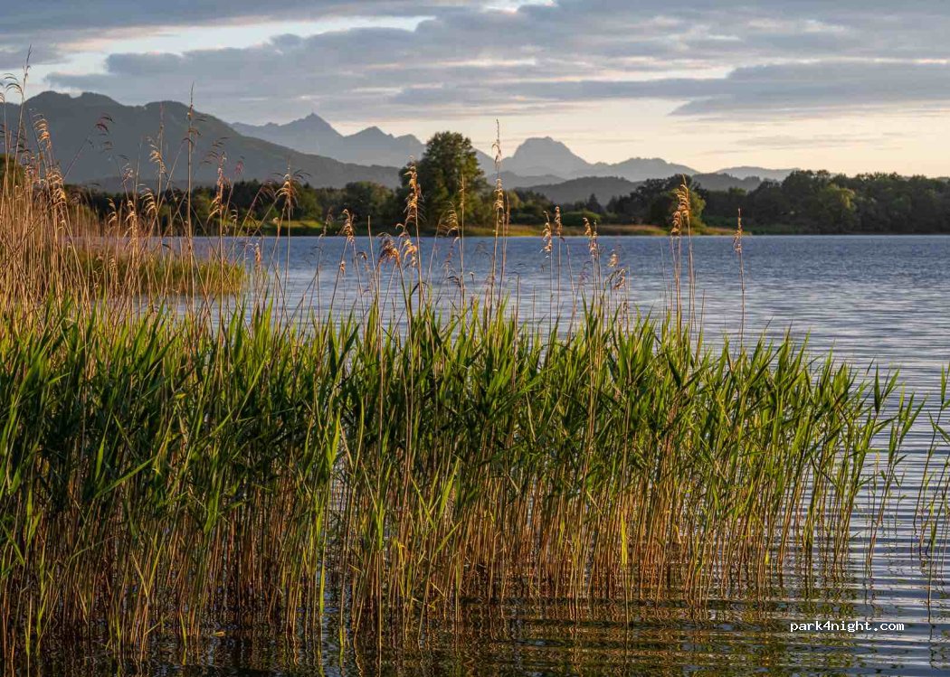 Chiemsee Camping Rödlgries — foto 3