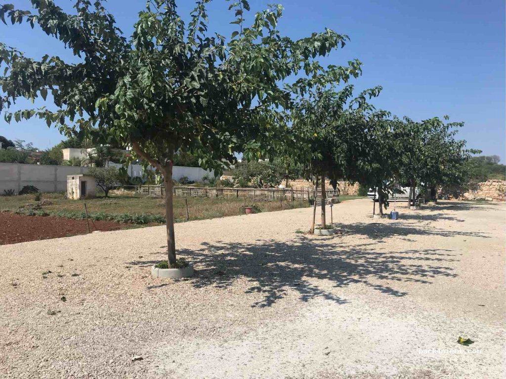 La Specchia — foto