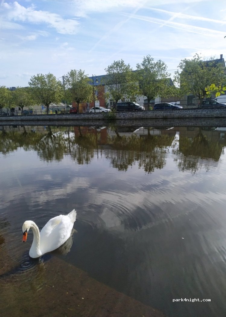(5580) Han-sur-Lesse - 73 Rue du Plan d'Eau — foto 3