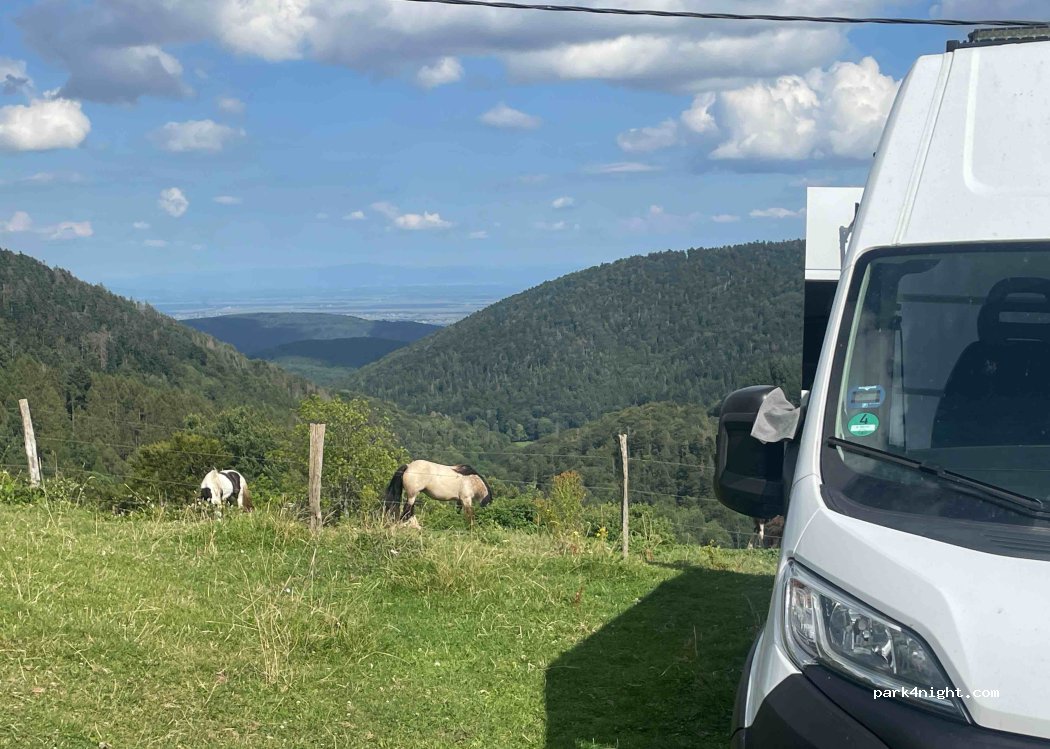 (68360) Soultz-Haut-Rhin - Chemin des Verriers — foto 3