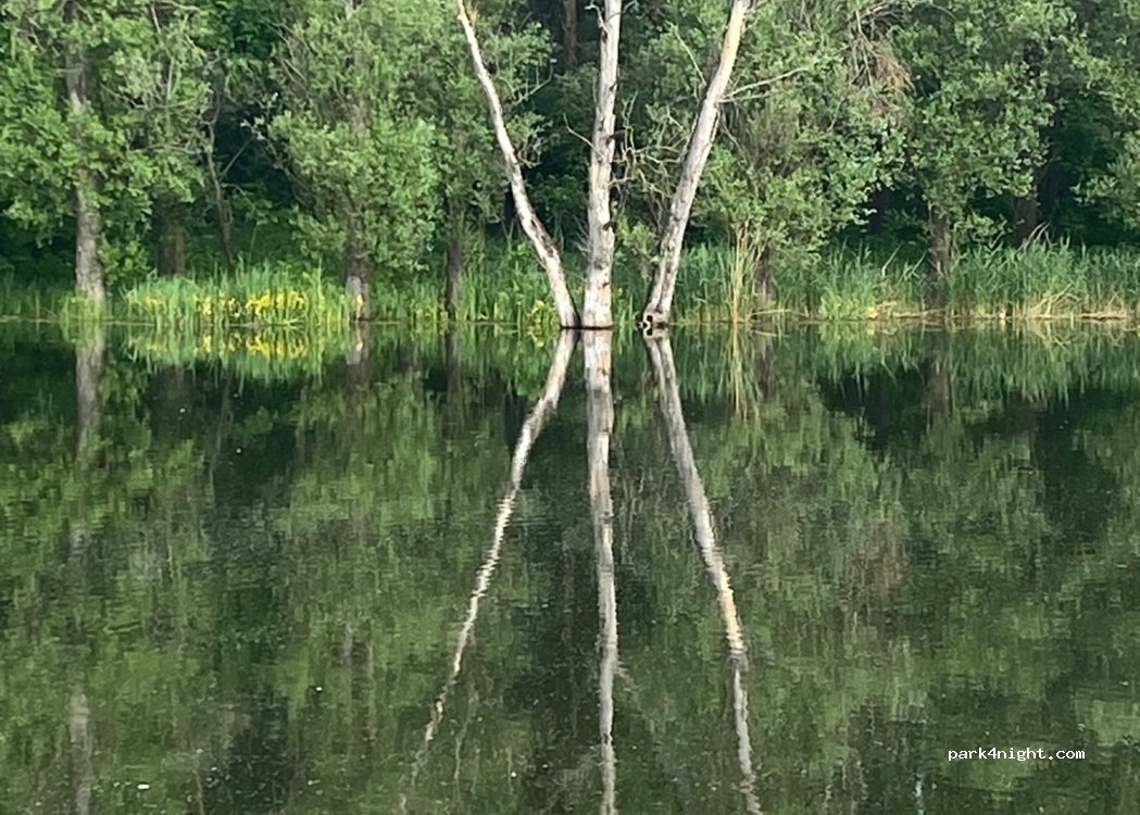 (9026) Győr - 88 Vásárhelyi Pál utca — foto 4