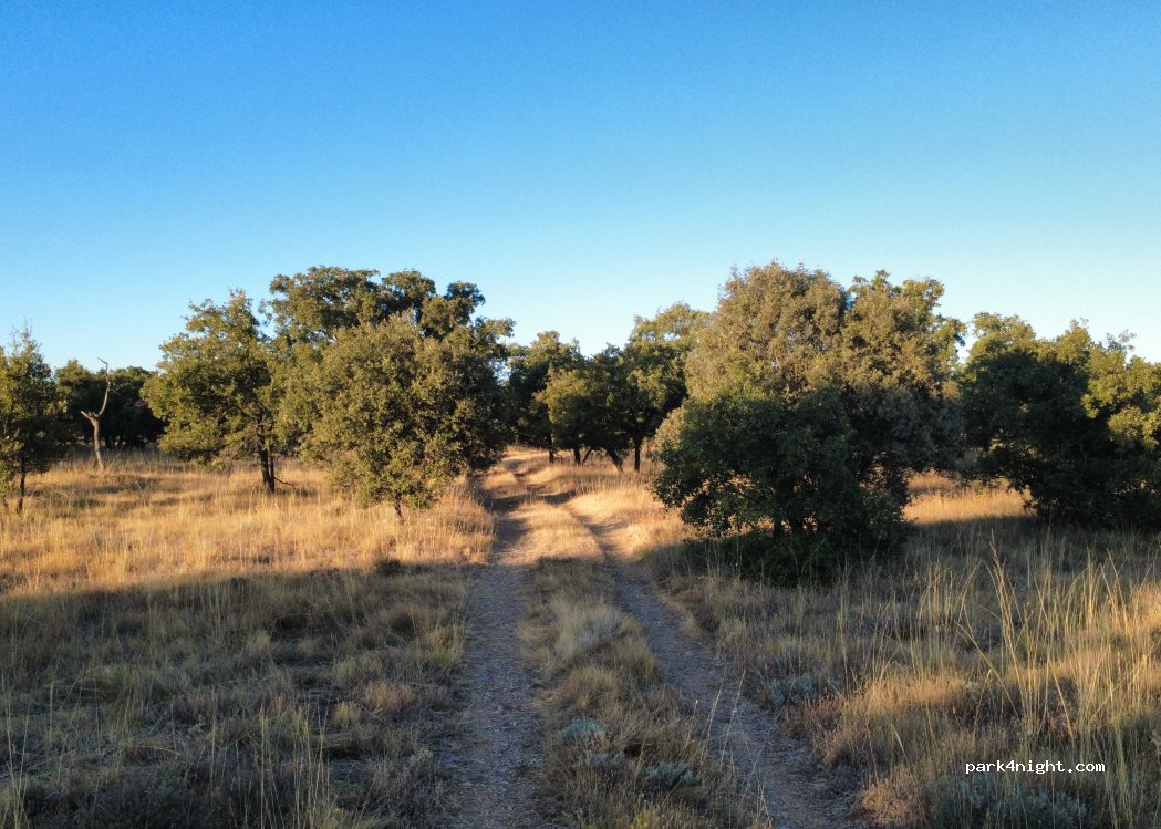 () Dueñas - P-903 — foto 5