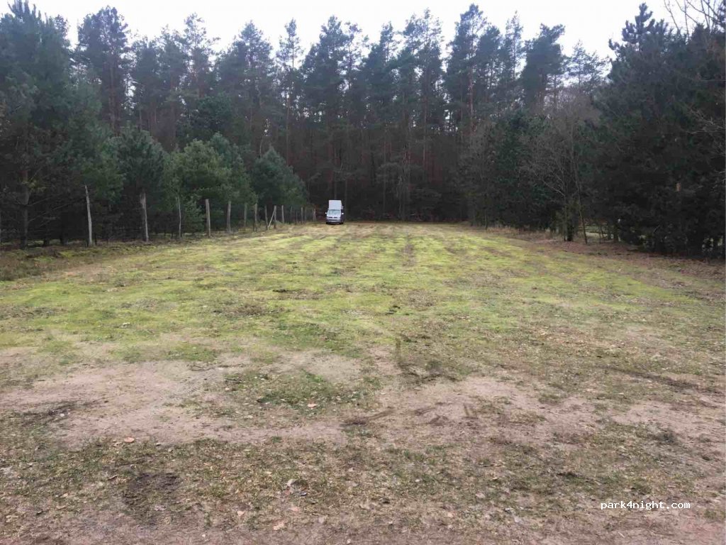 (16831) Rheinsberg - 23 Reiherholz — foto 3