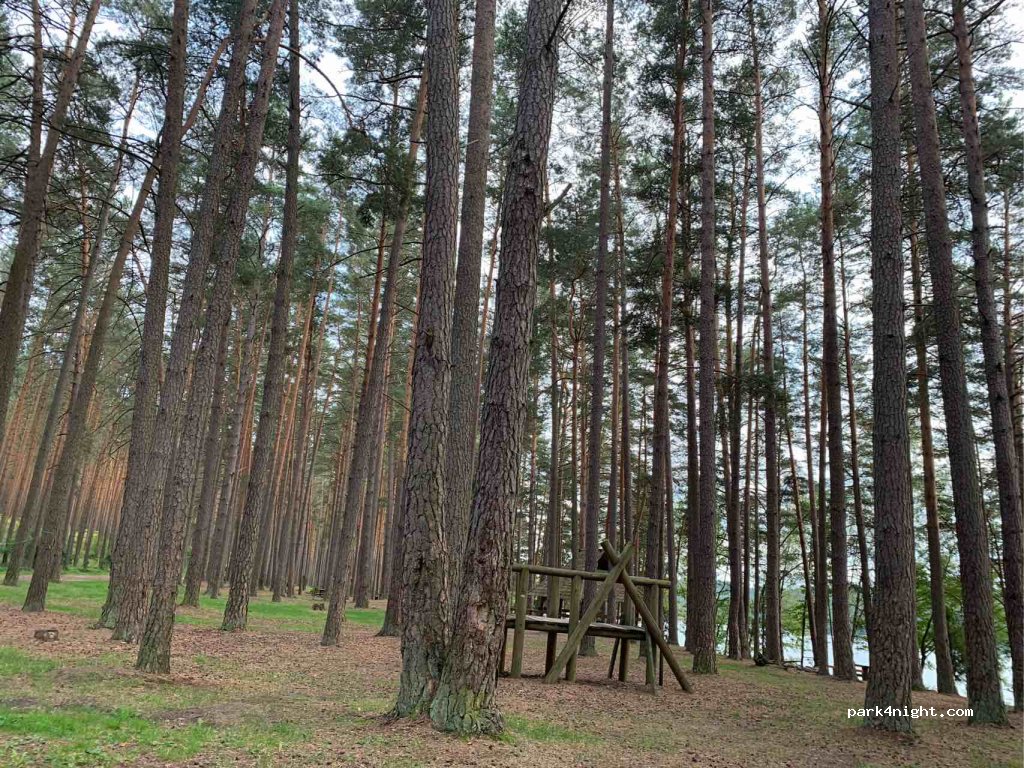 (30222) Ginučiai - Unnamed Road — foto 2