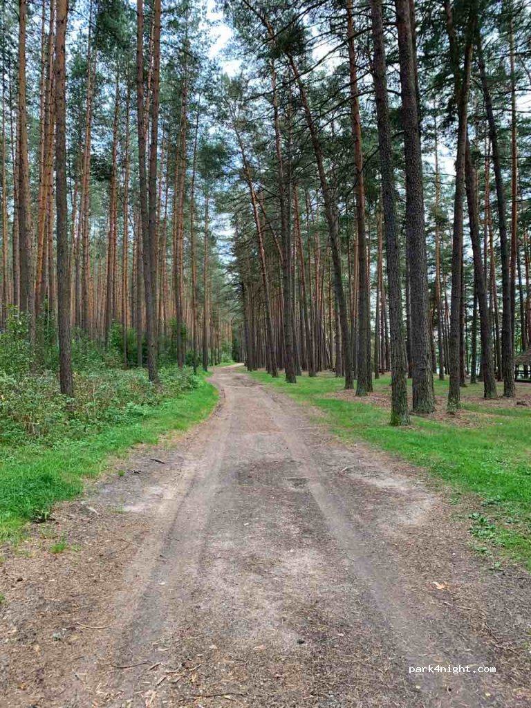 (30222) Ginučiai - Unnamed Road — foto 3