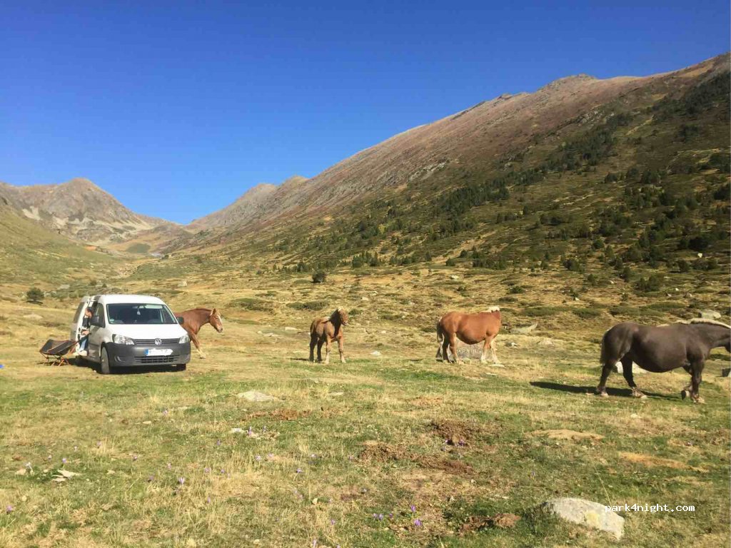 (66760) Porté-Puymorens - Chemin du Bas-Puymorens — foto 2