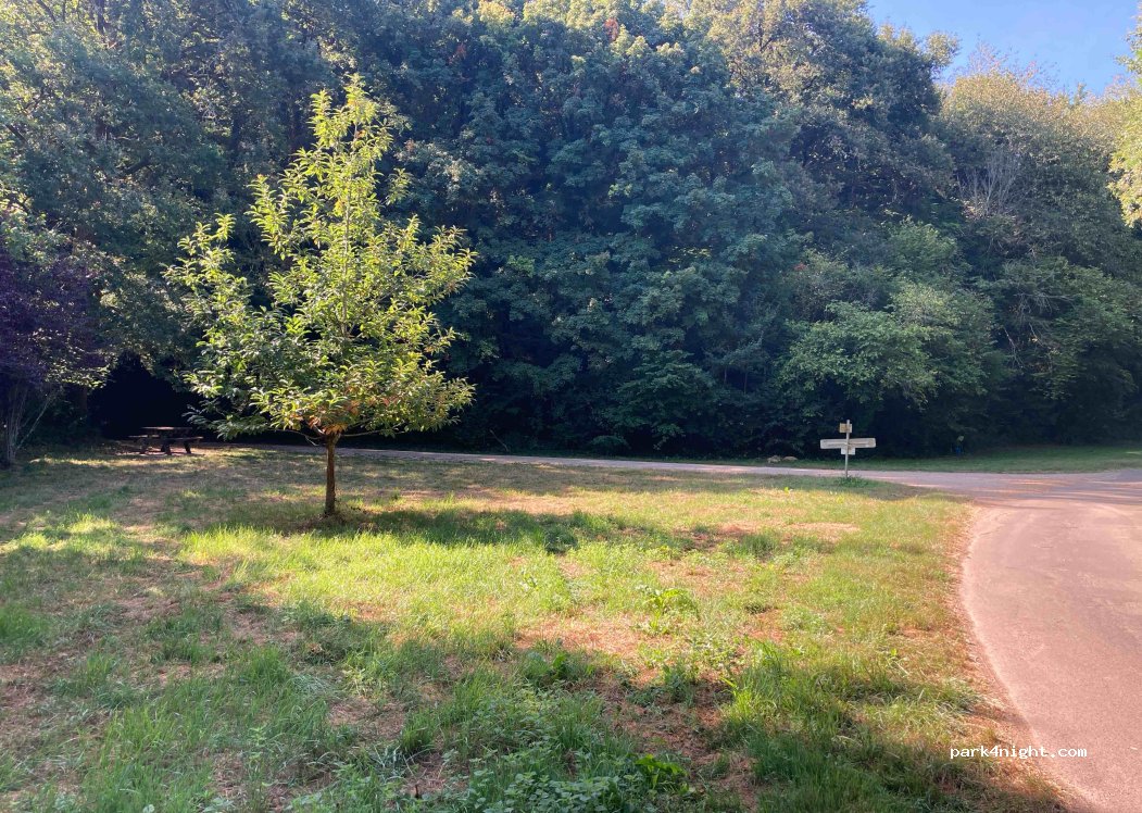 (79370) Celles-sur-Belle - Unnamed Road — foto 3