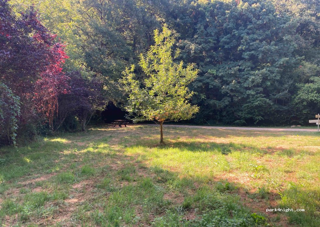 (79370) Celles-sur-Belle - Unnamed Road — foto 4
